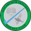 Macarthur Skylarks Hockey Club