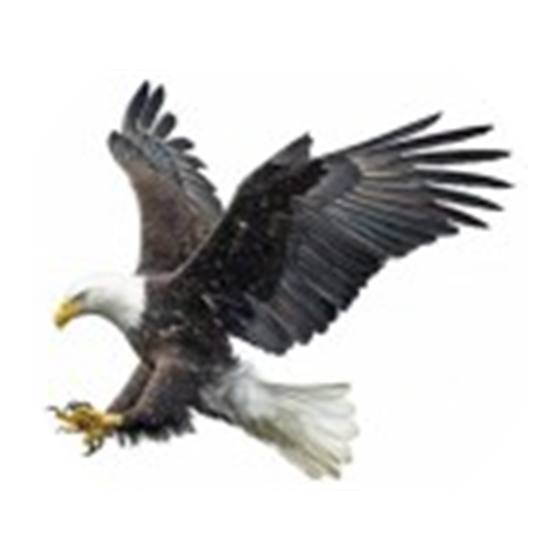 Middleton Sports Club logo