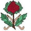 Moss Vale Hockey Club logo