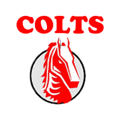 Colts Women's Hockey Club logo
