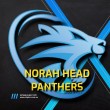 Norah Head Panthers Hockey Club logo