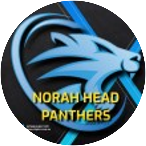 Norah Head Panthers Hockey Club logo