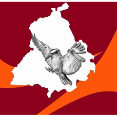 Punjabi Kookaburras Hockey Club logo