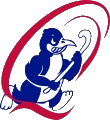 Queechy Penguins Hockey Club