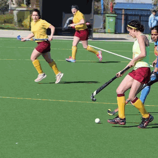 Sunshine Hockey Club logo