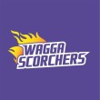 Wagga Wagga logo