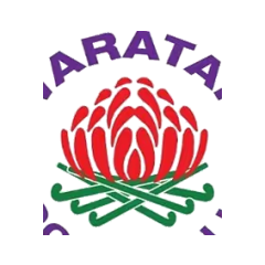Waratahs logo